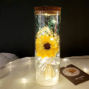 Dried Flowers Immortalized Flowers Sunflowers Roses Ornaments Red Preserved Rose In Glass Dome With Colorful LED Lights Valentines Day Gift